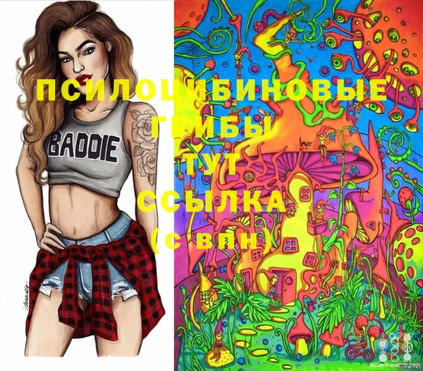 дживик Печоры