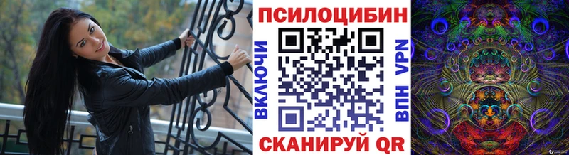 купить наркоту Тутаев Галлюциногенные грибы Cubensis