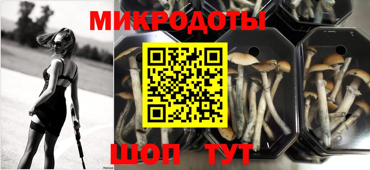 Тутаев  Галлюциногенные грибы Psilocybine cubensis  Вход с VPN 