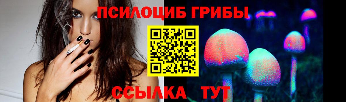 Псилоцибиновые грибы прущие грибы Тутаев